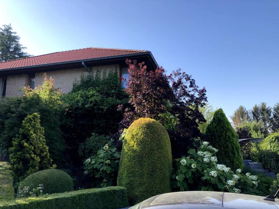 La Cle De La Foret * Tervuren